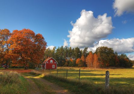 Red wooden cottage in Sweden in autumn