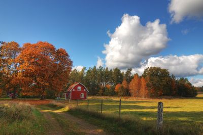 Red wooden cottage in Sweden in autumn