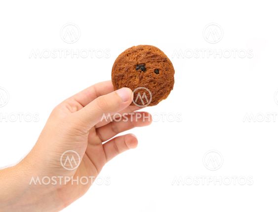 Hand holds oatmeal cooky with raisins