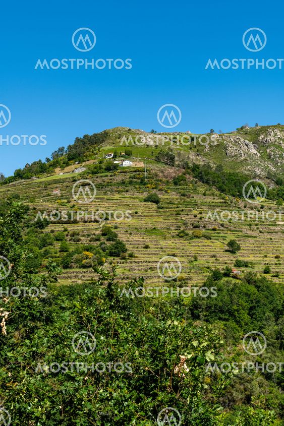 Viewpoit of Sistelo's terraces