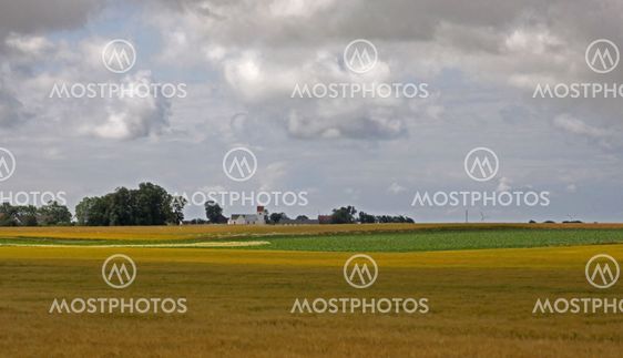 Scania Today_10