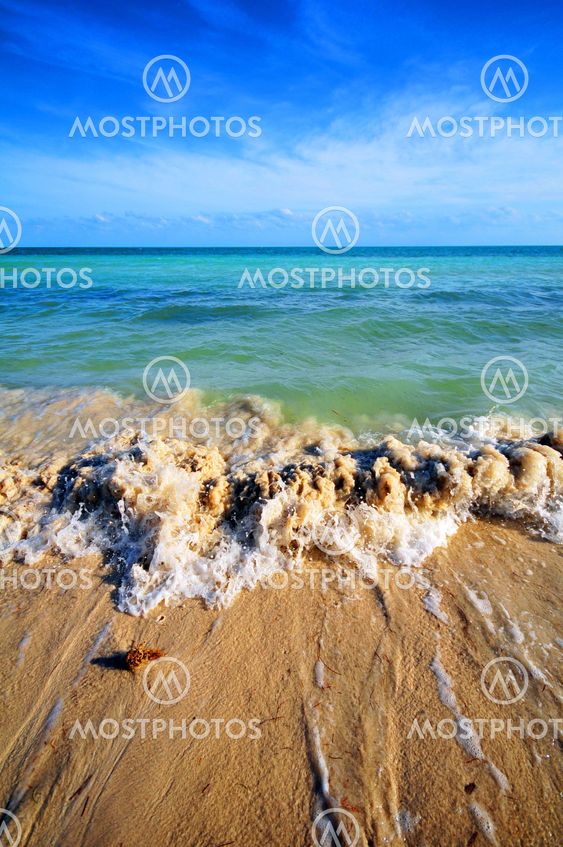 Tropical Waves