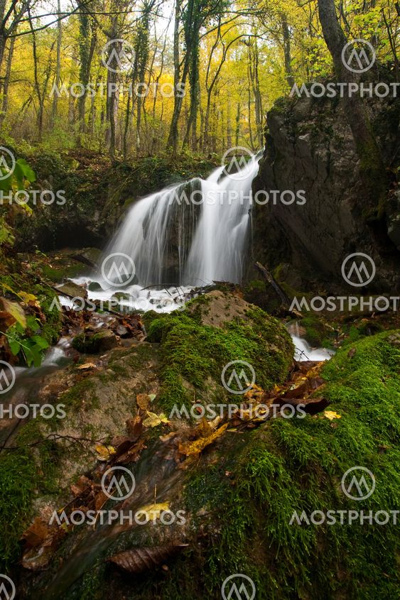 Forest waterfall