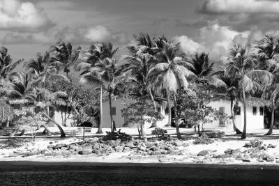 Small and Coloured Homes on the Coast of Santo Domingo