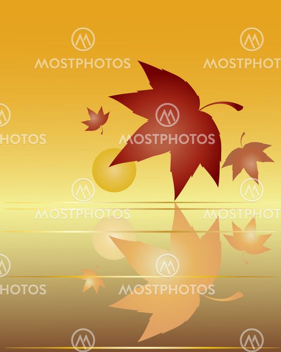 leaf reflections