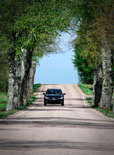 Bil på väg genom allé