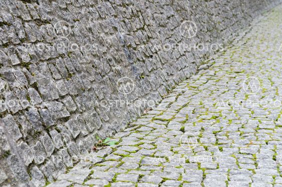 Cobblestone pavement and wall with moss growth between stones