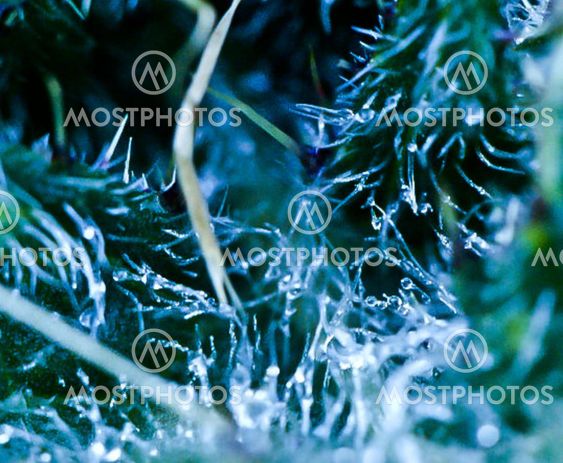 crystalforms! water!
