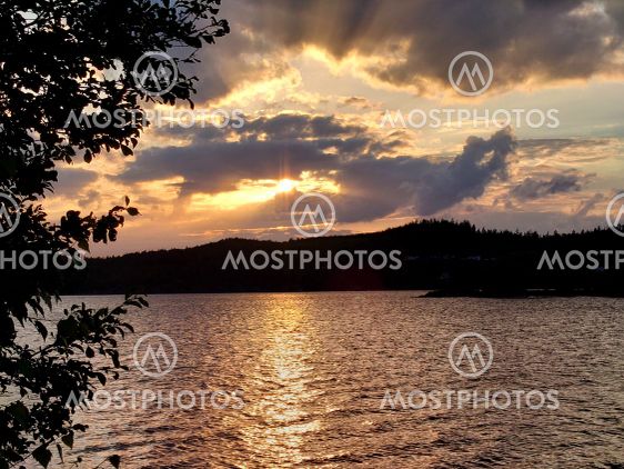 Sun over lake from behind a tree