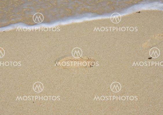 Foot Prints in the Sand