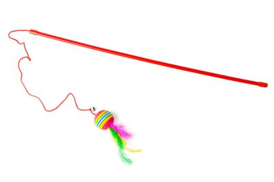 Cat toys isolated on white background studio shot