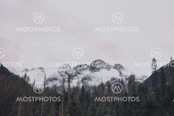 rocky high mountains. Forest fog laid on the tops of the...