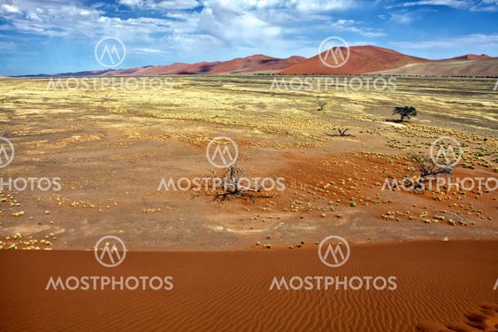 a view from the une 45 near sossusvlei namibia africa