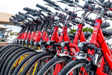 Row of Red Bicycles Parked in Daylight