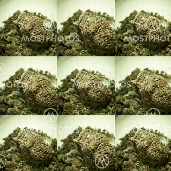 Medical Marijuana