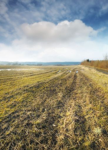 Wet farmland in early spring in Jutland, Denmark. A...