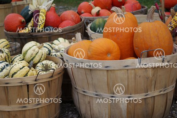 Fresh Vegetables