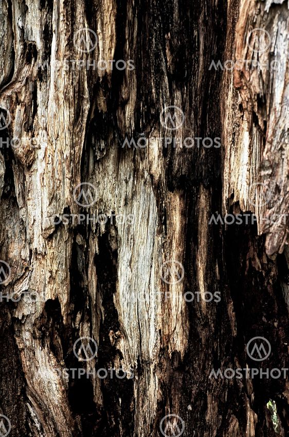 wood texture for background panel
