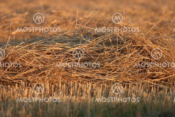 straw