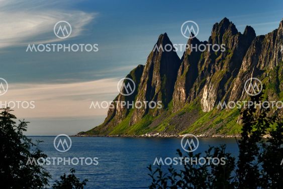 Senja