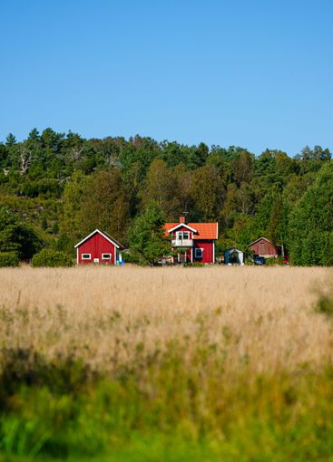 Red and white traditional house by a forest.