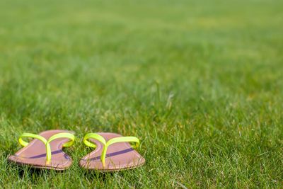 Closeup of bright flip flops on green grass