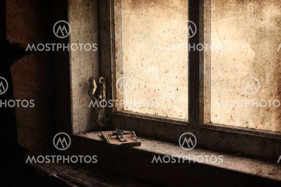 Vintage mouse trap