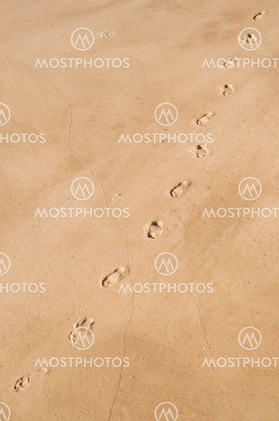 sand beach and feet print