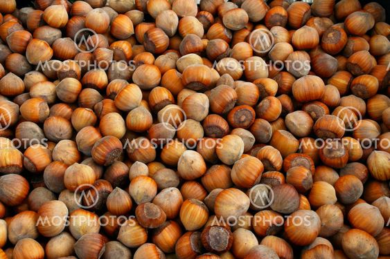 Hazelnuts