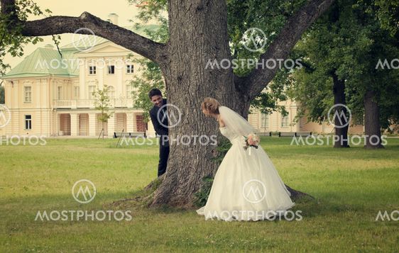 wedding day