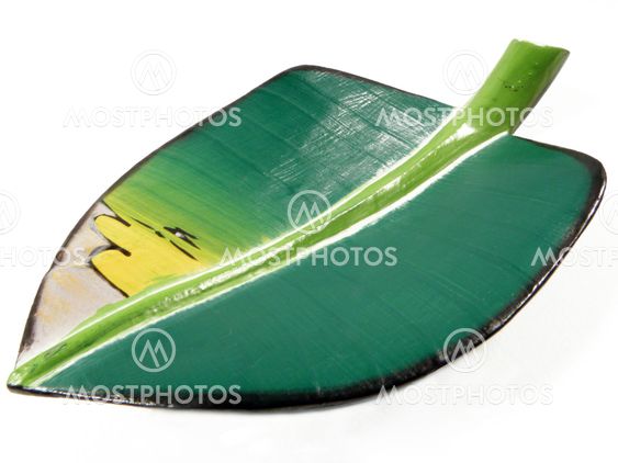 Leaf