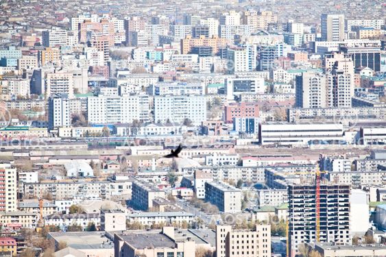 A raven flying over Ulan Bator