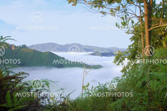 Panorama Hill at Sg. Lembing. Malaysia