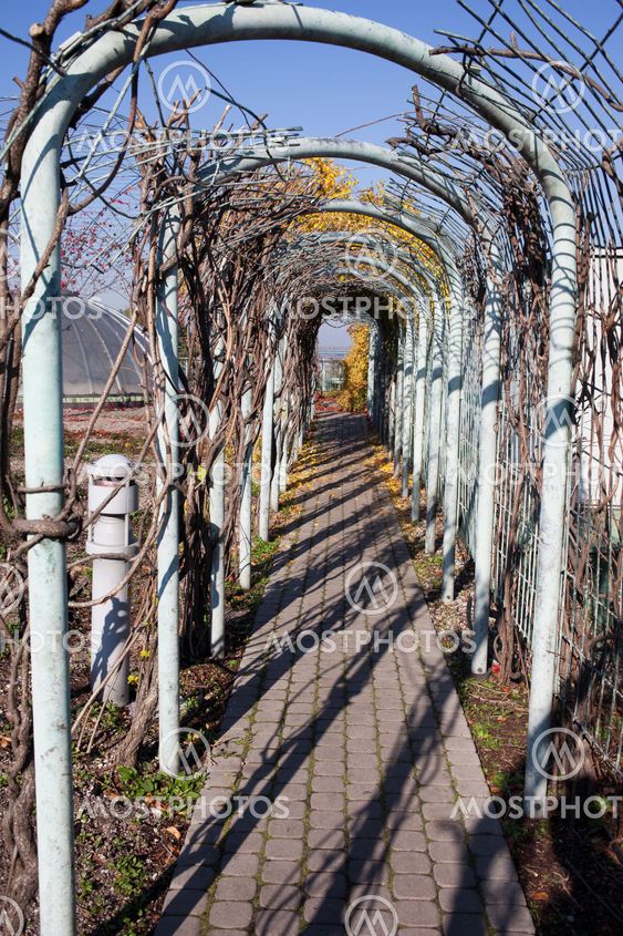 Path in a Garden