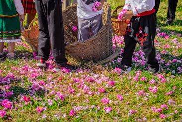 Children in traditional Bulgarian clothing collecting...
