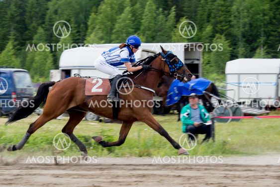 Hevonen