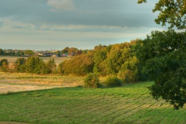 Grass field, trees or blue sky with nature of farmland...