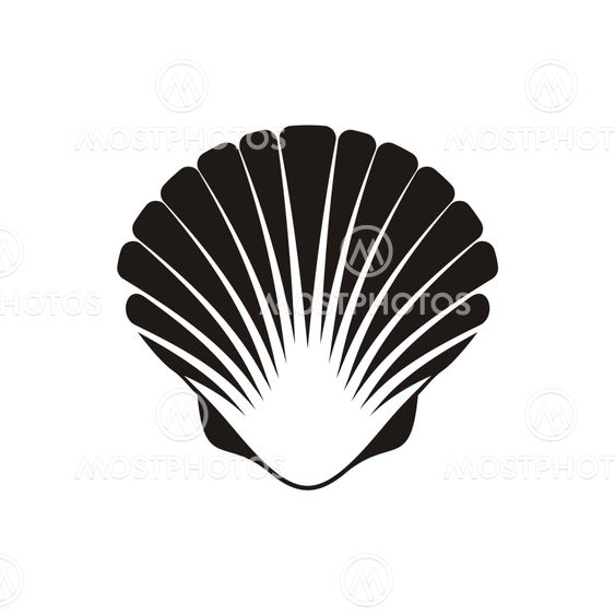 Scallop seashell icon