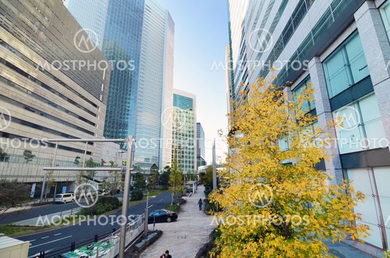 SHIMBASHI, TOKYO - NOVEMBER 26: Shimbashi commercial and night life district