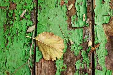 Autumn yellow fallen leaves and twigs on old wooden...