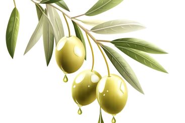 Olive Branch with Dripping Oil