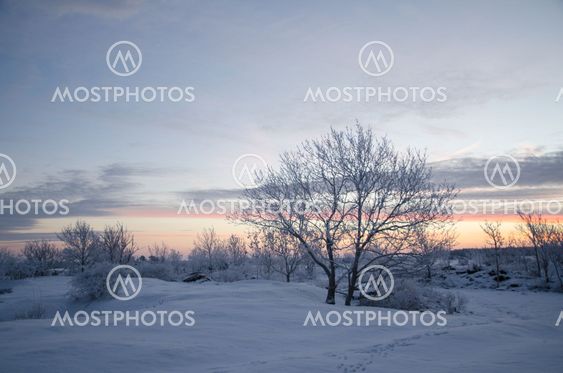 Winter morning before sunrise