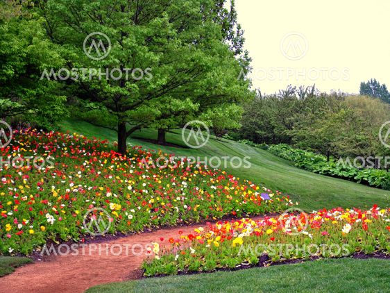 Flowers and trees