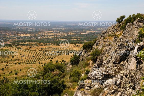Dry landscape of Alentejo, Portugal
