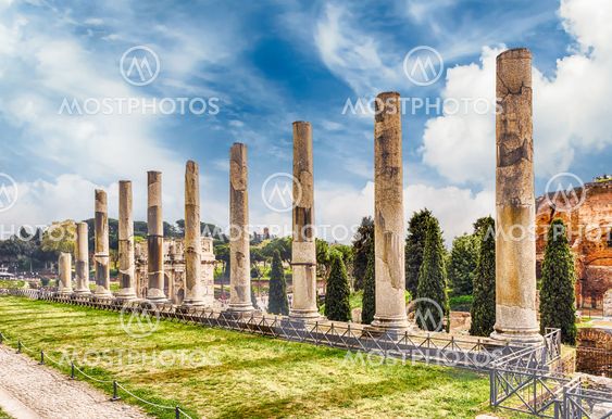 Ancient columns of the Temple of Venus, Rome, Italy
