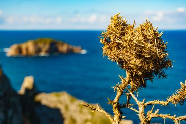 Coast at the Cabo de Penas in Asturias, Spain