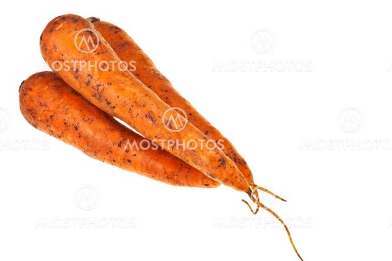 few fresh orange carrots