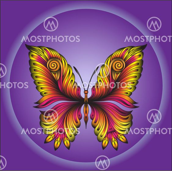 fantastic_butterfly on violet background