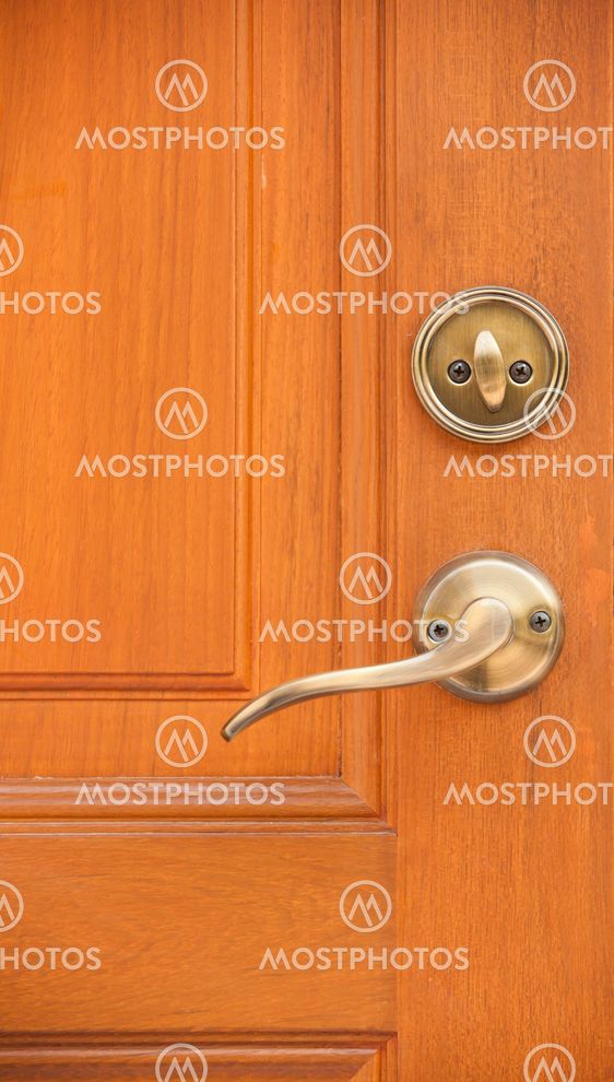 Modren style door handle on natural wooden door
