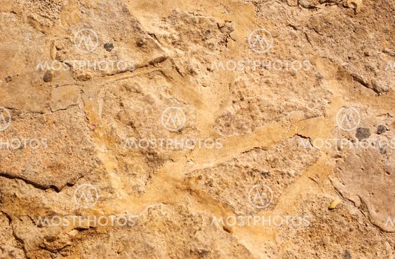 Texture concrete wall